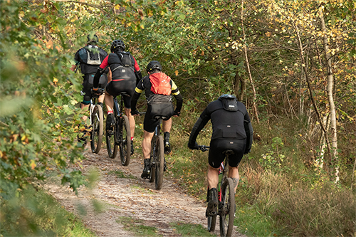 Welltree group incentives